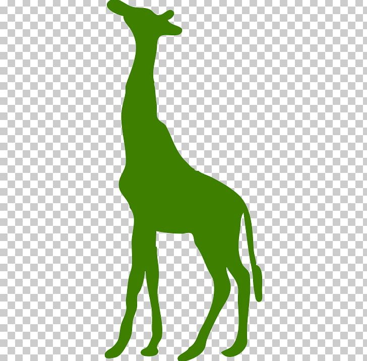 Giraffe Decal Sticker PNG, Clipart, Animal Figure, Animals, Art, Black And White, Carnivoran Free PNG Download