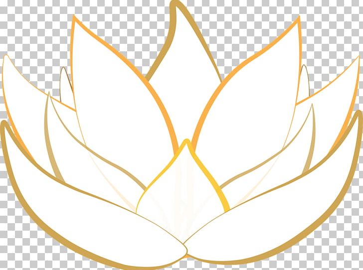 Nelumbo Nucifera Egyptian Lotus Drawing Nymphaea Lotus PNG, Clipart, Angle, Art, Blossom, Circle, Computer Wallpaper Free PNG Download