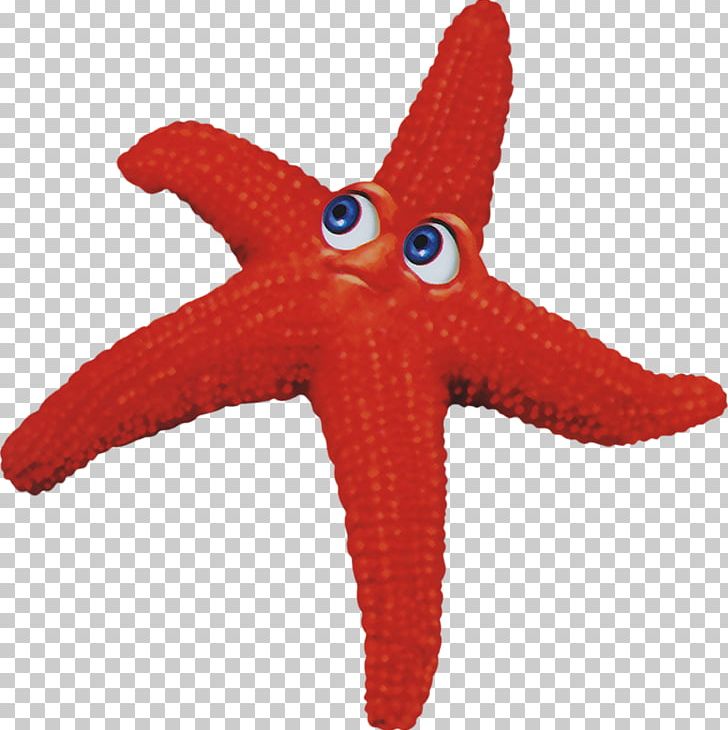 Starfish Euclidean PNG, Clipart, Animals, Beach, Beautiful Starfish, Download, Euclidean Vector Free PNG Download