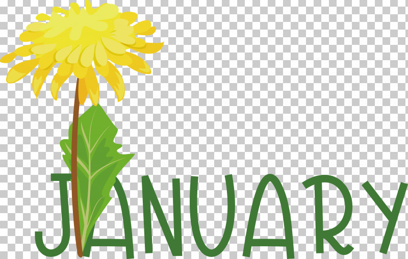 Floral Design PNG, Clipart, Chrysanthemum, Cut Flowers, Dahlia, Dandelions, Floral Design Free PNG Download