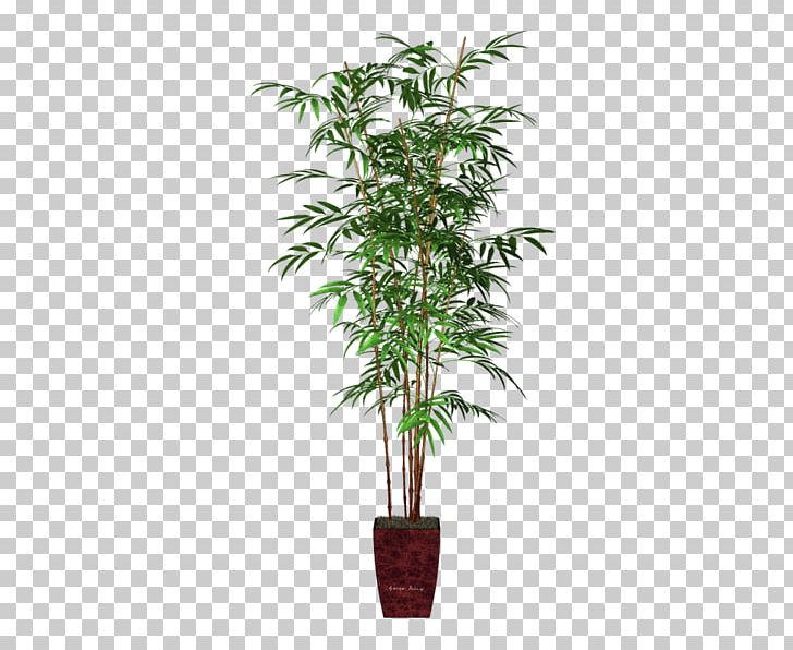 Areca Palm Houseplant Flowerpot Bamboo Veitchia PNG, Clipart, Arecaceae, Arecales, Artificial Flower, Evergreen, Fiddleleaf Fig Free PNG Download