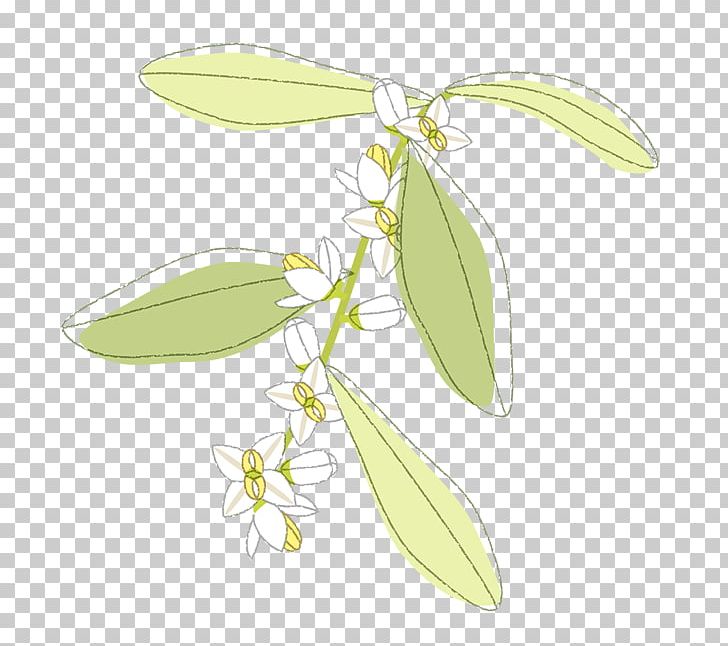 Flowering Plant Plant Stem Fruit Tree PNG, Clipart, Flora, Flower, Flowering Plant, Fruit, Insect Free PNG Download