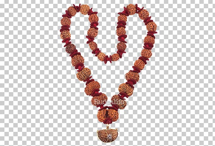Buddhist Prayer Beads Rudraksha Japamala Rudralife PNG, Clipart, Amber, Bead, Buddhism, Buddhist Prayer Beads, Combination Free PNG Download