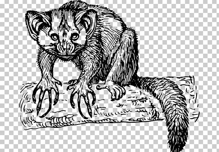 Lemurs Primate Aye-aye Ape PNG, Clipart, Animal, Animals, Ape, Art, Artwork Free PNG Download