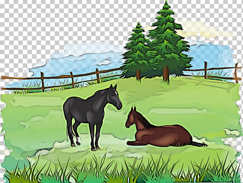 Foal Mustang Stallion Ecosystem Pasture PNG, Clipart, Cartoon, Ecosystem, Foal, Horse, Mustang Free PNG Download