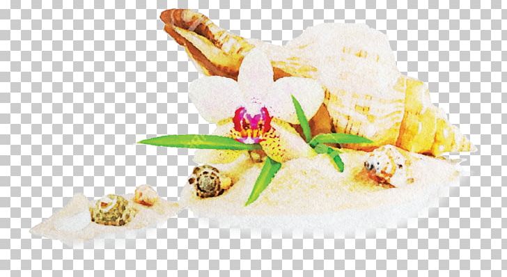 Bamboo Orchid Seashell Tropical Woody Bamboos Photography Bivalvia PNG, Clipart, Bamboo, Bivalvia, Commodity, Cuisine, Dessert Free PNG Download