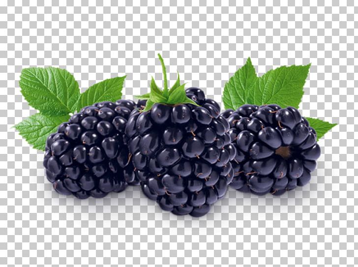 Boysenberry Fruit Dewberry Auglis PNG, Clipart, Aroma, Auglis, Berry, Bilberry, Blackberry Free PNG Download