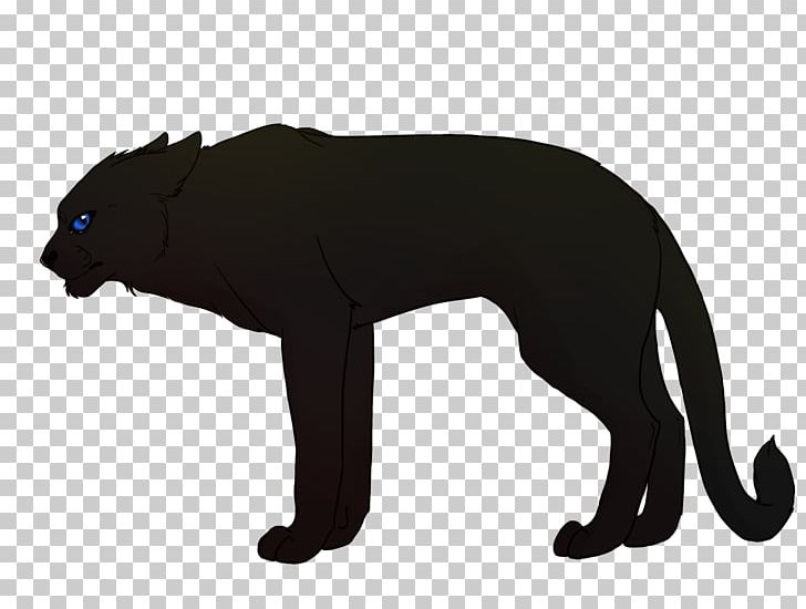 black puma dog