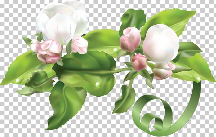 Flower PNG, Clipart, Blossom, Branch, Cdr, Computer Graphics, Cut Flowers Free PNG Download