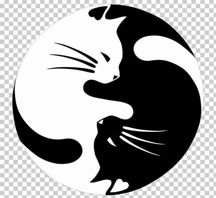 Cat Kitten Window Decal Sticker PNG, Clipart, Animals, Black, Black Hair, Black White, Bumper Sticker Free PNG Download