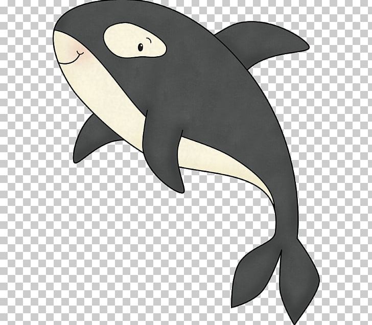 Dolphin Killer Whale Cetacea PNG, Clipart, Animals, Animated Cartoon, Black And White Whale, Cetacea, Dolphin Free PNG Download