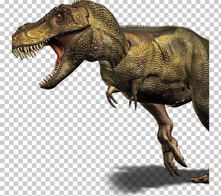 Giganotosaurus Velociraptor Late Cretaceous Carnotaurus Spinosaurus PNG, Clipart, Allosaurus, Barnum Brown, Carnotaurus, Cretaceous, Dinosaur Free PNG Download