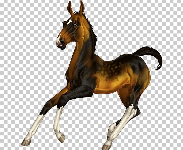Mustang Foal Mare Stallion Halter PNG, Clipart, Animal Figure, Apollon, Bridle, Colt, English Riding Free PNG Download