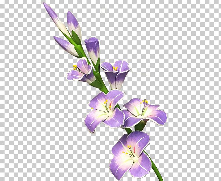 Gladiolus Flower PNG, Clipart, Bulb, Charming Beauty, Clip Art, Cut Flowers, Daffodil Free PNG Download