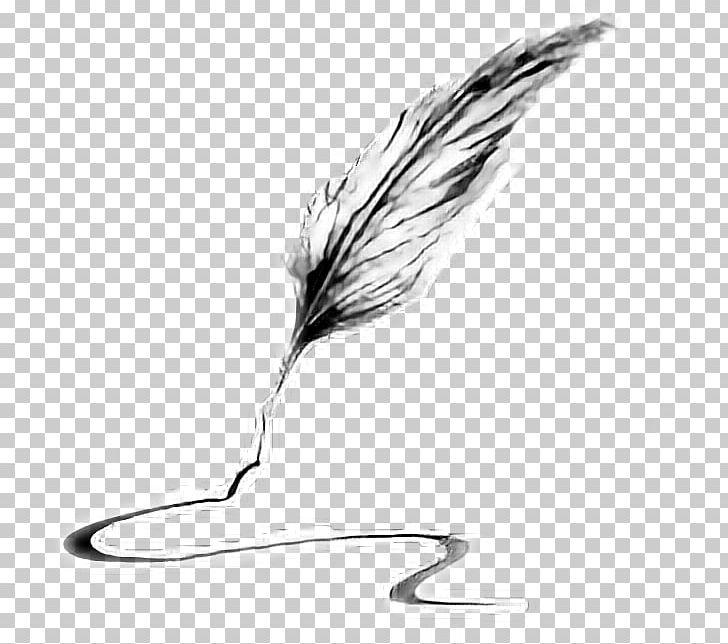 Quill Pen Feather Writing Implement PNG, Clipart, Beak, Bird, Black And White, Depositphotos, Feather Free PNG Download