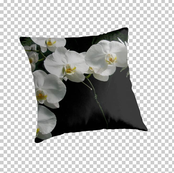 Throw Pillows Cushion Orchids Petal PNG, Clipart, Absolvent, Cushion, Flower, Map, Moth Orchids Free PNG Download