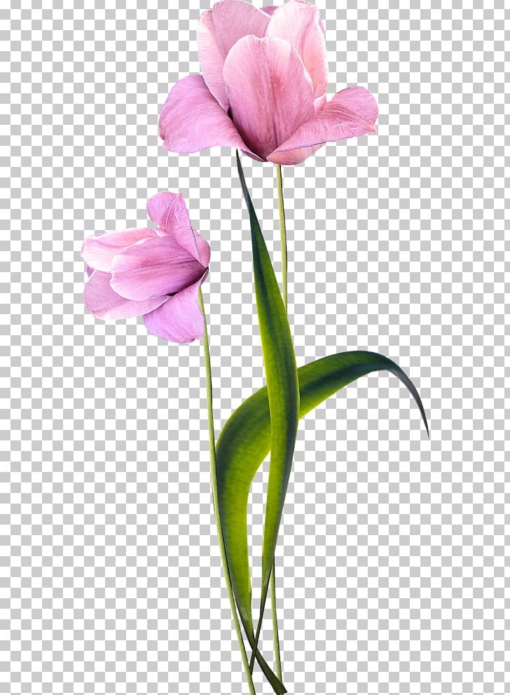 Artificial Flower Tulip Floral Design Flower Bouquet PNG, Clipart, Artificial Flower, Bud, Cicek, Cut Flowers, Drawing Free PNG Download