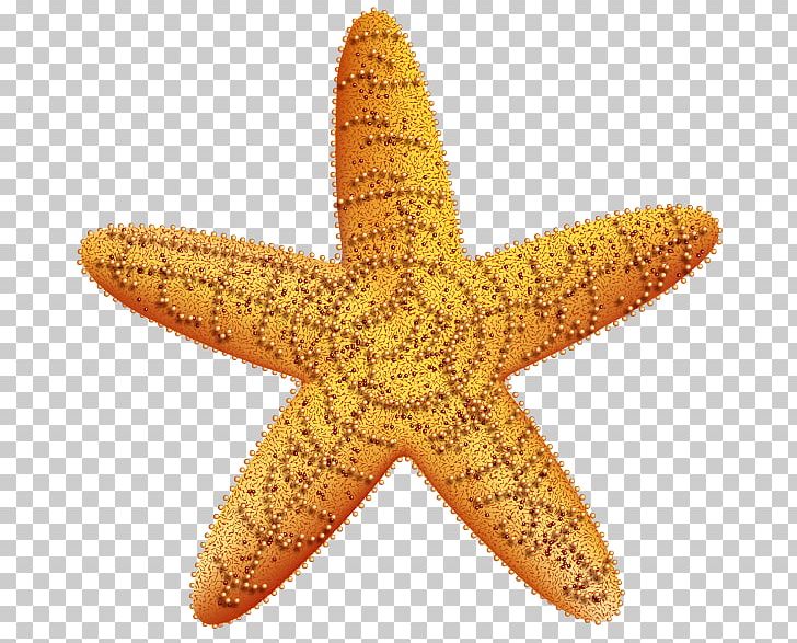 Gold Stock Photography Starfish Fotosearch PNG, Clipart, Bank, Echinoderm, Film, Fotosearch, Gold Free PNG Download