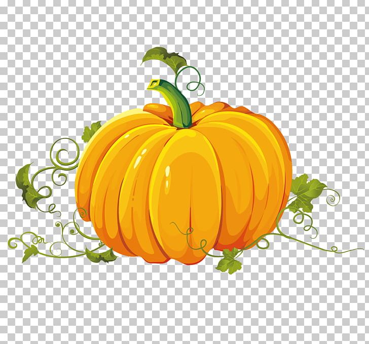 Pumpkin Autumn Harvest PNG, Clipart, Apple, Calabaza, Cane Vine, Cucu, Cucurbita Free PNG Download