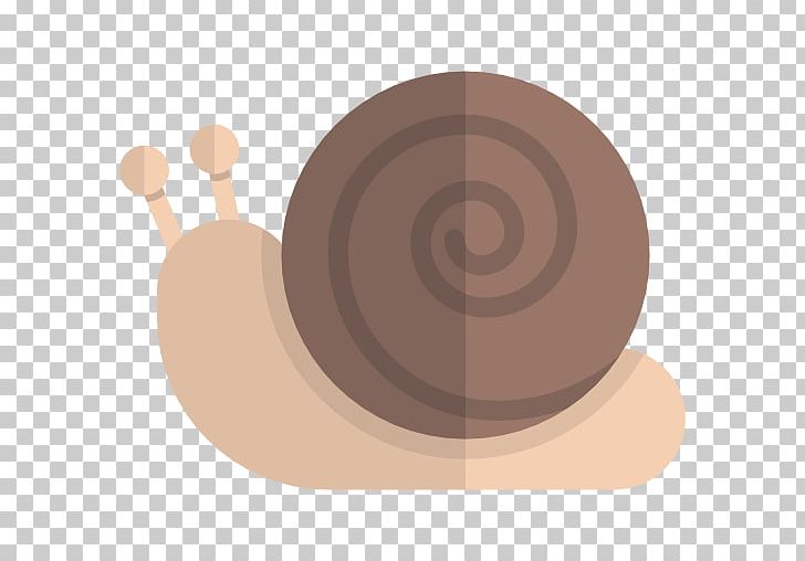 Snail Orthogastropoda PNG, Clipart, Animal, Animals, Brown, Circle, Coffee Cup Free PNG Download
