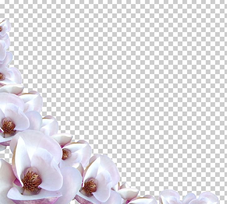 Border Flowers PNG, Clipart, Blossom, Border Flowers, Clip Art, Cut Flowers, Desktop Wallpaper Free PNG Download
