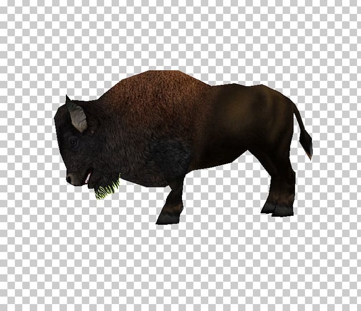 Cattle Bison Rhinoceros Bull Animal PNG, Clipart, Animal, Animal Figure, Animals, Bison, Bull Free PNG Download