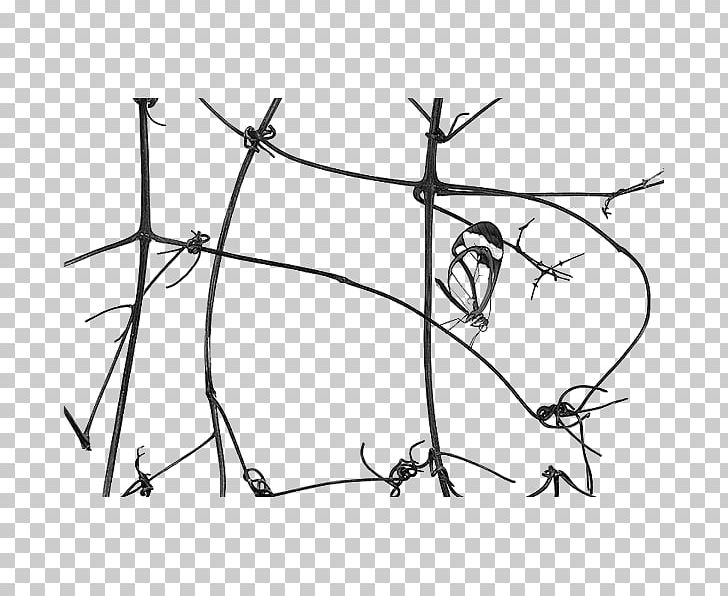 Point Line Art Angle Recreation White PNG, Clipart,  Free PNG Download