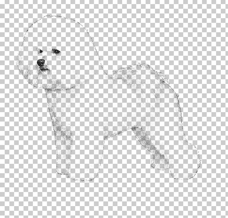 Bichon Frise Chinese Crested Dog Samoyed Dog Papillon Dog Puppy PNG, Clipart, Animals, Bichon, Bichon Frise, Breed Standard, Carnivoran Free PNG Download