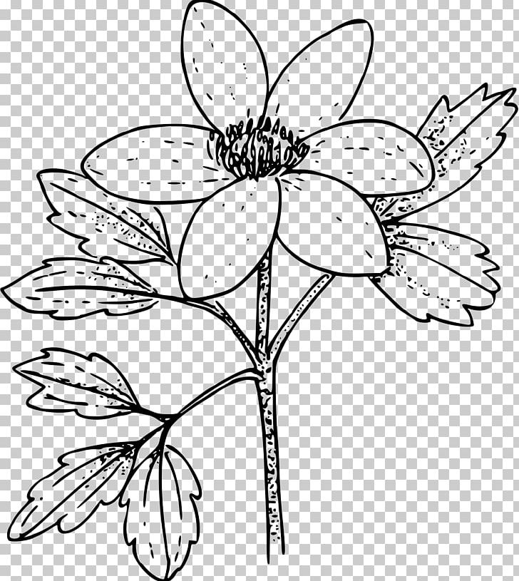 Coloring Book Anemone Nemorosa Flower PNG, Clipart, Artwork, Black And White, Branch, Butterfly, Child Free PNG Download