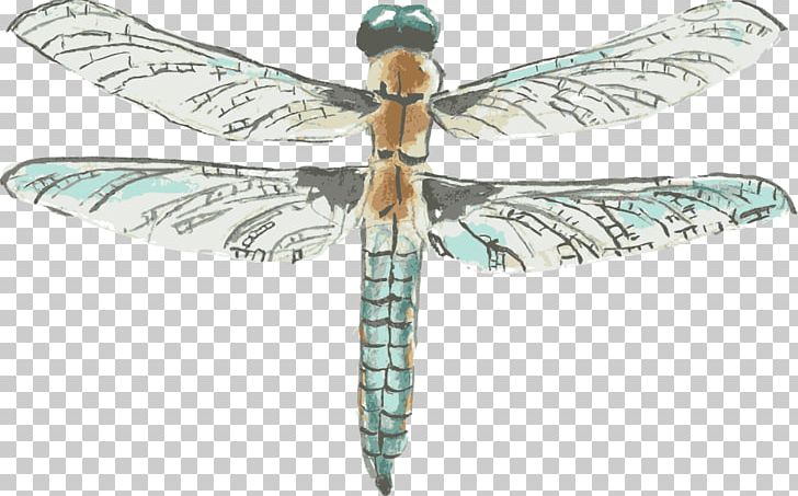 Dragonfly Drawing Watercolor Painting PNG, Clipart, Arthropod, Cartoon, Drawing Vector, Encapsulated Postscript, Hand Draw Free PNG Download