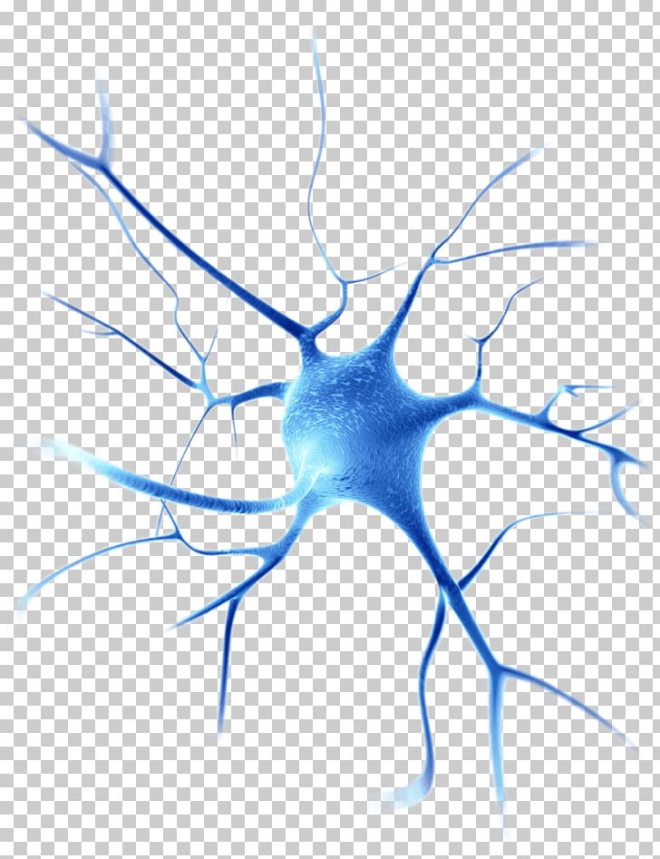 Neuroscience Gene Therapy Disease Cell Neuron PNG, Clipart, Artwork, Avexis, Blue, Branch, Company Free PNG Download