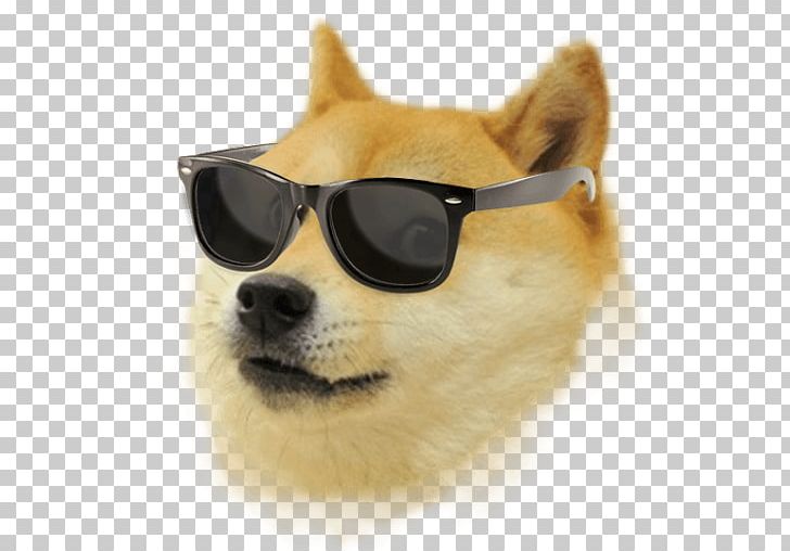 Doge Weather Doge Run Android PNG, Clipart, Android, Carnivoran, Companion Dog, Computer Software, Cryptocurrency Free PNG Download