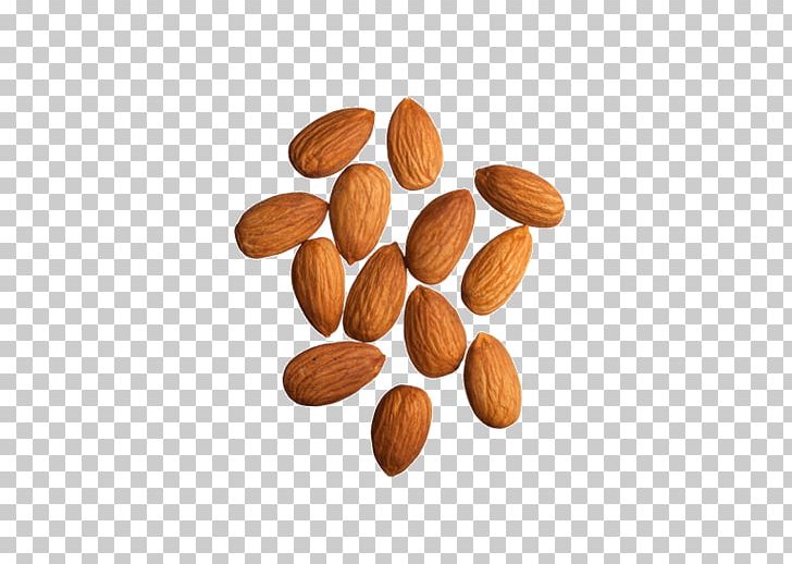 Almond Milk Raw Foodism Nut PNG, Clipart, Almond, Almond Butter, Almond Milk, Almonds, Brazil Nut Free PNG Download