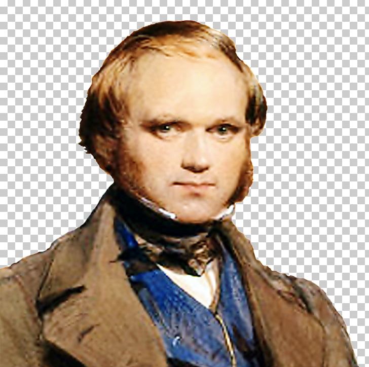 Charles Darwin Creation Galápagos Islands Evolution Naturalist PNG, Clipart, Charles Darwin, Chin, Common Descent, Creation, Darwin Day Free PNG Download