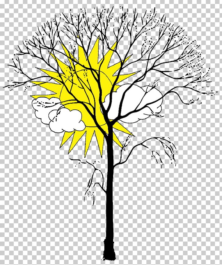 Coloring Book Tree Branch Trunk Leaf PNG, Clipart, Arecaceae, Art, Artwork, Autumn, Black And White Free PNG Download