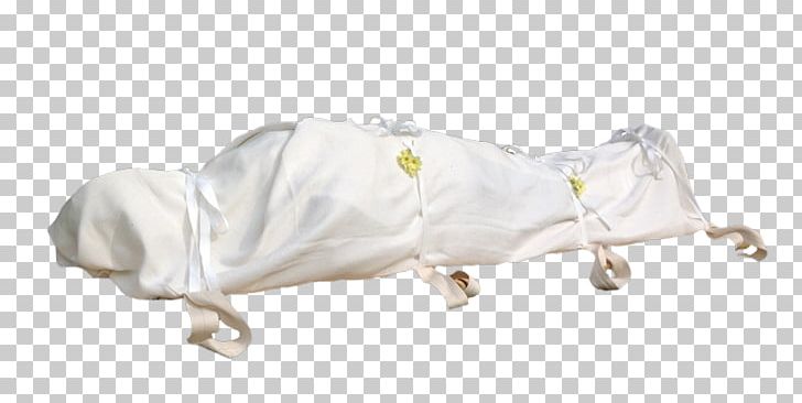 Natural Burial Shroud Cremation Coffin PNG, Clipart, Animal Figure, Burial, Burial Shroud, Cadaver, Casket Free PNG Download