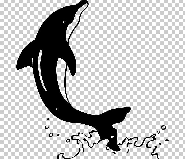 Oceanic Dolphin Killer Whale Animal Sea Lion Schablone PNG, Clipart, Airbrush, Animal, Artwork, Bird, Black Free PNG Download