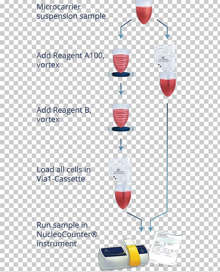 Stemware Glass Water PNG, Clipart, Cell Culture, Drinkware, Glass, Glass Water, Stemware Free PNG Download