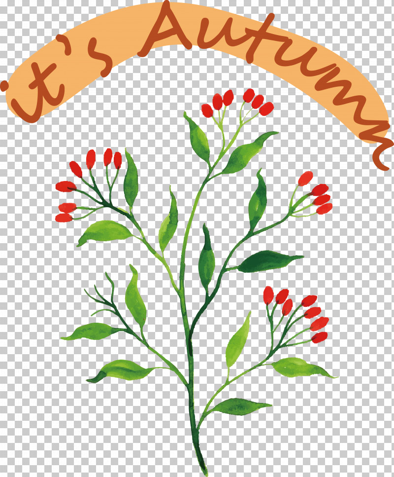 Floral Design PNG, Clipart, Floral Design, Leaf, Vector Free PNG Download