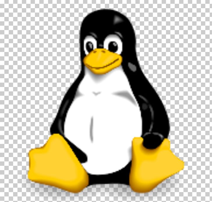 Tux GNU/Linux Naming Controversy PNG, Clipart, Arch Linux, Beak, Bird, Flightless Bird, Gnulinux Naming Controversy Free PNG Download