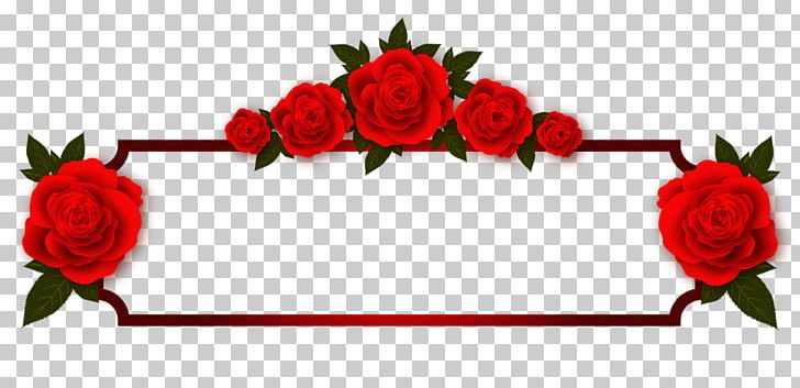 Video Odia Language Morning Film PNG, Clipart, Carnation, Cut Flowers, Evening, Film, Floral Design Free PNG Download