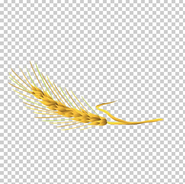Yellow Commodity Grasses Family PNG, Clipart, Cartoon Wheat, Cofco, Commodity, Family, Feather Free PNG Download