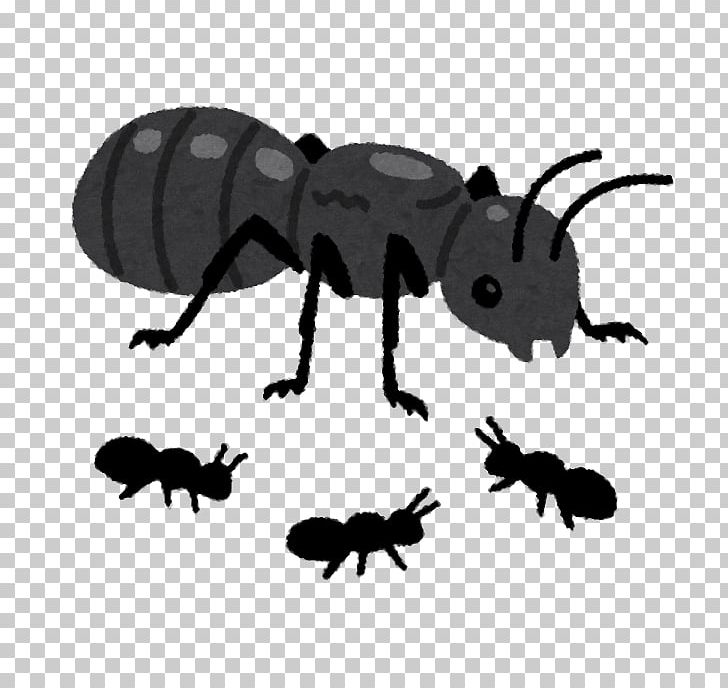 Ant Mosquito 働きアリの法則 Queen Bee Insect PNG, Clipart, Ant, Ant Colony, Arthropod, Beetle, Black And White Free PNG Download