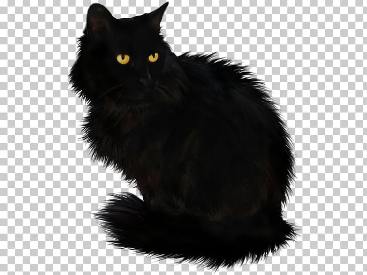 Black Cat Maine Coon Domestic Long-haired Cat Cymric Domestic Short-haired Cat PNG, Clipart, Asian Semilonghair, Black, Black And White, Black Cat, Bombay Cat Free PNG Download
