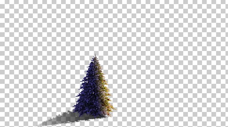 Christmas Ornament Christmas Tree Spruce Meter PNG, Clipart, Christmas, Christmas Decoration, Christmas Ornament, Christmas Slider, Christmas Tree Free PNG Download