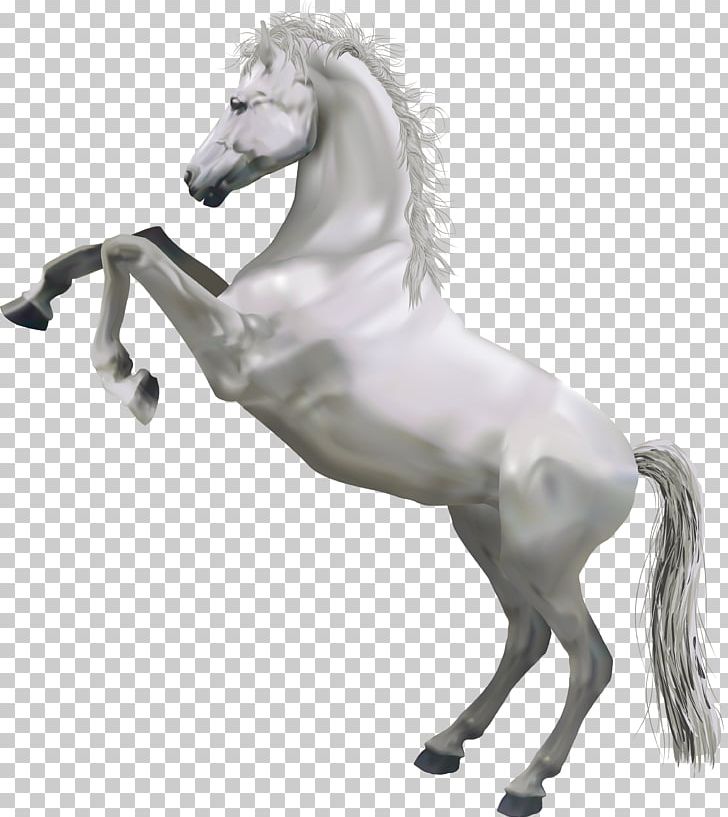 Horse White PNG, Clipart, Animals, Black And White, Clipart, Clip Art, Download Free PNG Download