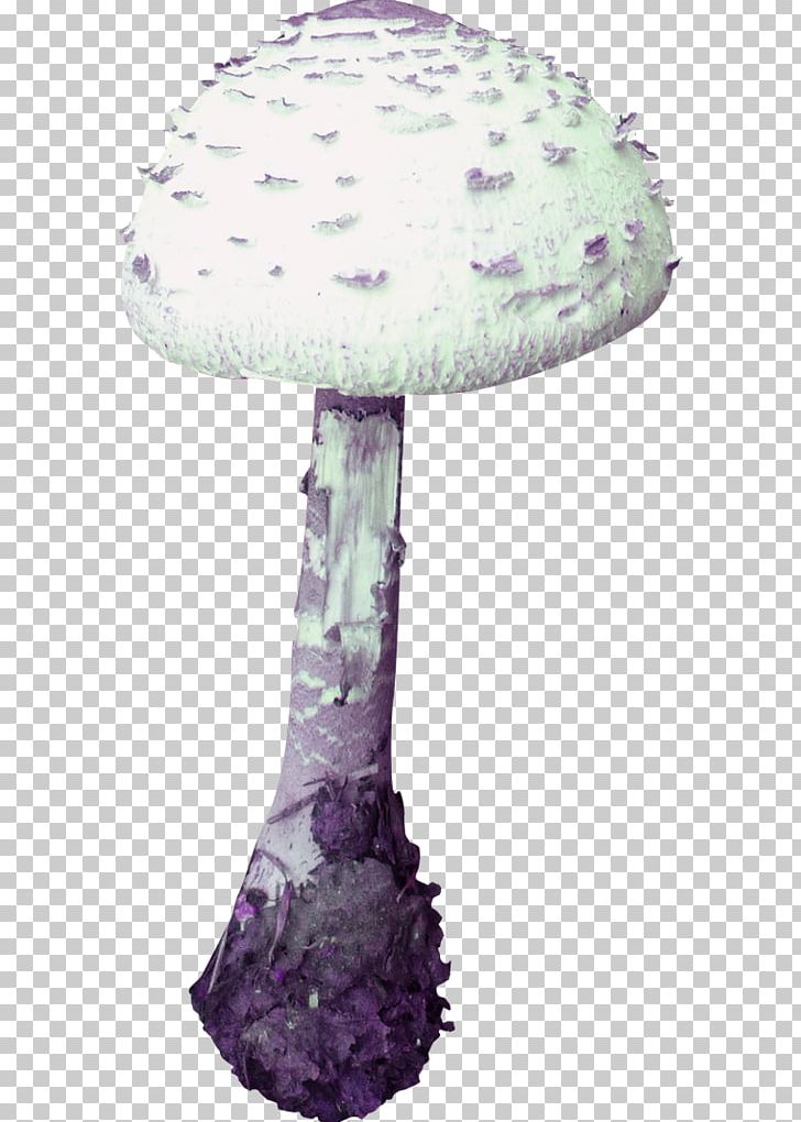 Mushroom Poisoning PNG, Clipart, Art, Background White, Black White, Designer, Deviantart Free PNG Download