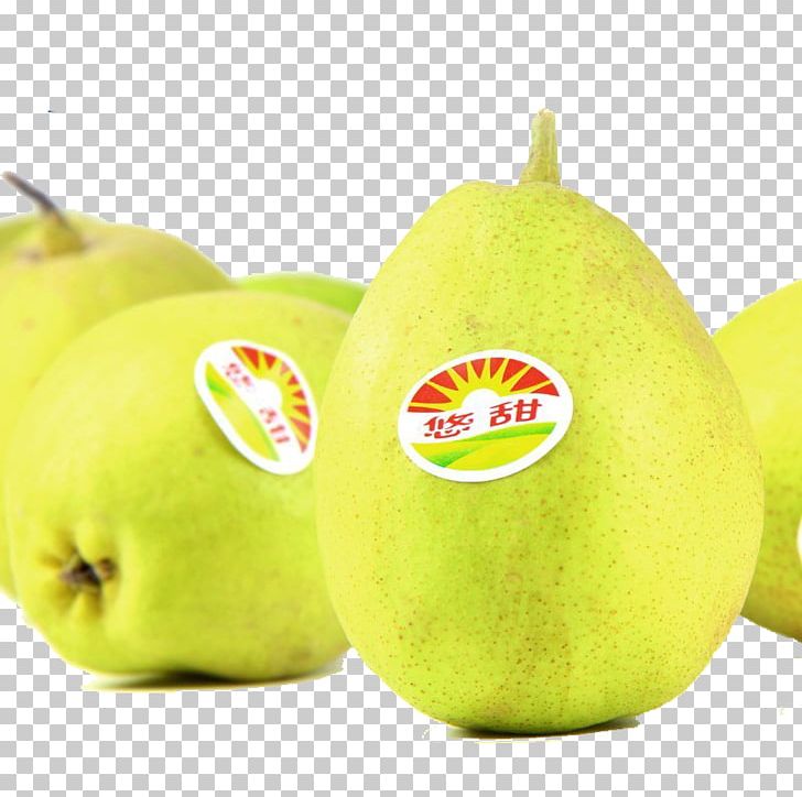 Pear Fruit PNG, Clipart, Apple, Encapsulated Postscript, Food, Fresh, Fresh Fruit Free PNG Download