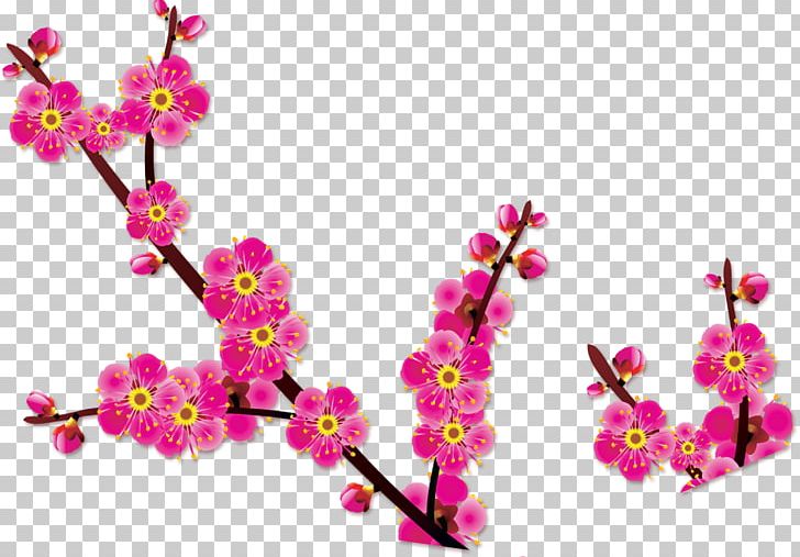 Poster Plum Blossom PNG, Clipart, Branch, Ceramic Decal, Cherry Blossom, Flora, Floral Design Free PNG Download