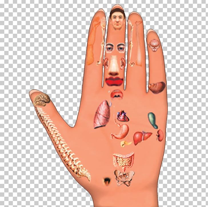 Thumb Hand Model Nail Tattoo PNG, Clipart, Arm, Cheek, Finger, Flesh, Hand Free PNG Download